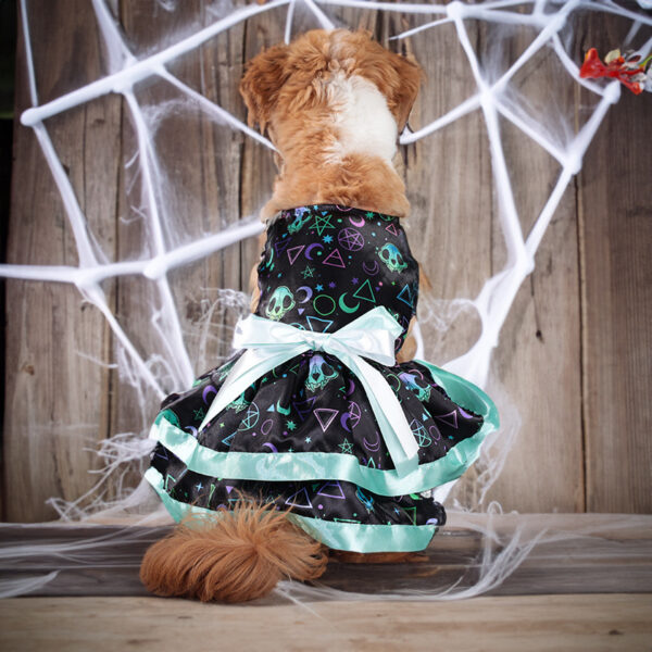 Double-layer Halloween Pet Skirt